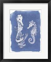 Coastal Sea Life V Framed Print