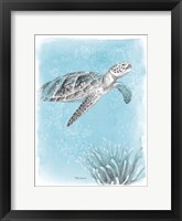 Coastal Sea Life I Framed Print