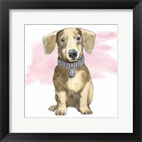 Framed Glamour Pups IX on Pink