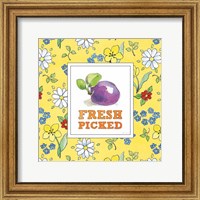 Framed 'Fresh From the Garden VI' border=