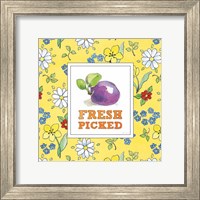 Framed 'Fresh From the Garden VI' border=