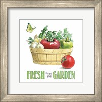 Framed 'Fresh From The Garden I' border=