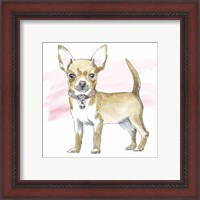 Framed 'Glamour Pups VII' border=