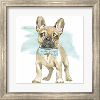 Framed 'Glamour Pups XI' border=