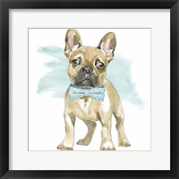 Framed 'Glamour Pups XI' border=