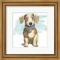 Framed 'Glamour Pups IX' border=