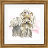 Framed 'Glamour Pups XII' border=