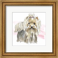 Framed 'Glamour Pups XII' border=