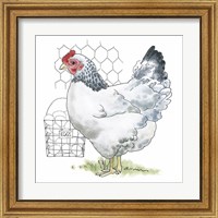 Framed 'Fun at the Coop IV' border=
