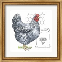 Framed 'Fun at the Coop III' border=