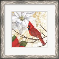 Framed 'Winter Birds Cardinal' border=