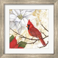 Framed 'Winter Birds Cardinal' border=