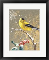 Framed Winter Birds Goldfinch Color