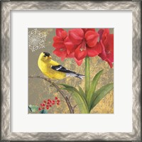 Framed 'Winter Birds Goldfinch Collage' border=