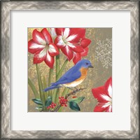 Framed 'Winter Birds Bluebird' border=