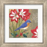 Framed 'Winter Birds Bluebird' border=