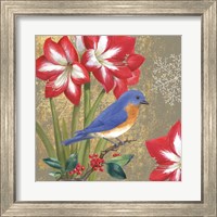 Framed 'Winter Birds Bluebird' border=