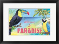 Framed Island Time Toucan