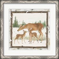 Framed 'Family Cabin II' border=