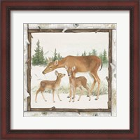 Framed 'Family Cabin II' border=