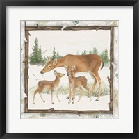 Family Cabin II Framed Print