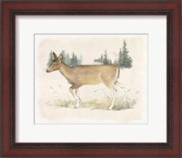 Framed 'Wilderness Collection Deer' border=