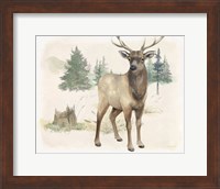 Framed 'Wilderness Collection Elk' border=