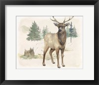 Framed 'Wilderness Collection Elk' border=