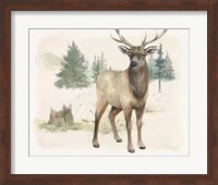 Framed 'Wilderness Collection Elk' border=