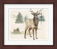 Framed 'Wilderness Collection Elk' border=