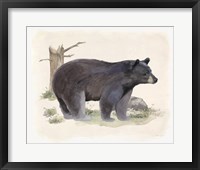 Wilderness Collection Bear Framed Print