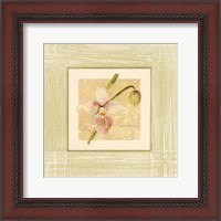 Framed 'Exotic Floral IV' border=