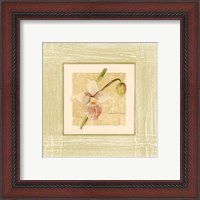 Framed 'Exotic Floral IV' border=