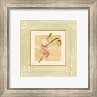 Framed 'Exotic Floral IV' border=