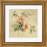 Framed 'Provence Rose I' border=