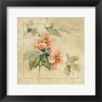 Framed 'Provence Rose I' border=