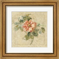 Framed 'Provence Rose II' border=