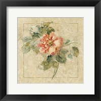 Framed 'Provence Rose II' border=