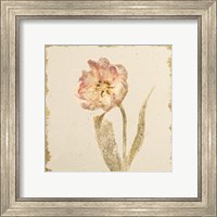 Framed 'Vintage May Wonder Tulip Crop' border=