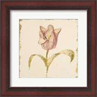 Framed 'Vintage Blue Parrot Tulip Crop' border=