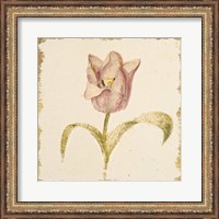 Framed 'Vintage Blue Parrot Tulip Crop' border=