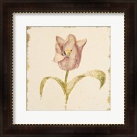 Framed Vintage Blue Parrot Tulip Crop