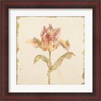 Framed 'Vintage Zoomer Schoon Tulip Crop' border=