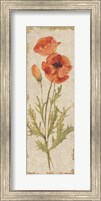 Framed Poppy Panel on White Vintage