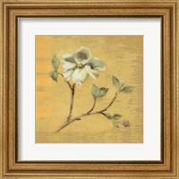 Framed 'Dogwood Blossom on Gold' border=