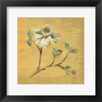 Framed 'Dogwood Blossom on Gold' border=