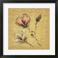 Framed 'Magnolia Blossom on Gold' border=