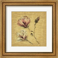 Framed 'Magnolia Blossom on Gold' border=