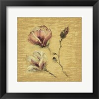 Magnolia Blossom on Gold Framed Print
