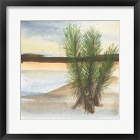 Desert Yucca Framed Print